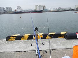 明石家さんまばかりでシシャモは釣れず。明日は出船中止