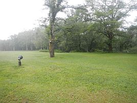 雨で流れが速すぎて姪2号がなんとかオショロコマを1匹