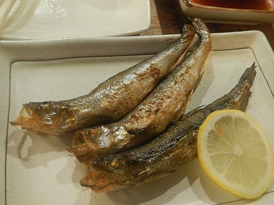 北海道の師匠が釣った魚が食べられる店、炉ばた巽で舌鼓