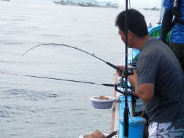 平成（本当に）最後のイサキ釣りを決心したのに…台風めっ