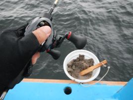 優しくないのよ東京湾の釣りの神様はっ!!　妻1号はアジ4匹