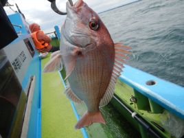 血塗られた久里浜沖でマ・イシ・クロとそろえダイ三元達成♪