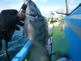 血塗られた久里浜沖でマ・イシ・クロとそろえダイ三元達成♪