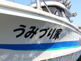 瀬戸内海用マダイサビキ竿は1万円くらいなので買っちゃう