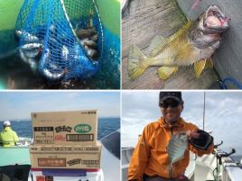 世の中に何の影響もない2018年のへた釣り10大ニュースw