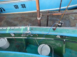 肩コリ完治!! すげぇな、東京湾。もしかしてサバのおかげ？