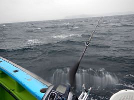 不幸だねぇ氷雨降る時化海で本命ボウズなんて闇堕ちする