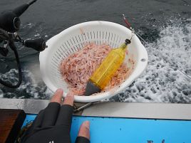 不幸だねぇ氷雨降る時化海で本命ボウズなんて闇堕ちする