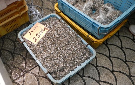 明石焼き、いかなご釘煮、ぺったん焼、穴子串を魚の棚で