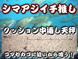 むしゃくしゃするのでシマアジは金に糸目を付けない方針に