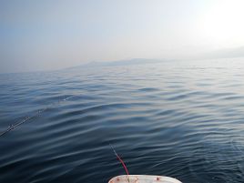 鏡面のように穏やかな海で釣りをしている白日夢を見たよ