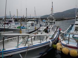 夢ではなかった…「カイワリ船中0じゃなきゃ」が瓦解した日よ