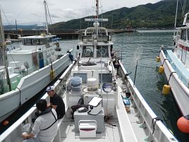 令和の初釣りは雨の中シャクリ続けてカイワリ7匹でドヤッ!!