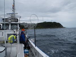 令和の初釣りは雨の中シャクリ続けてカイワリ7匹でドヤッ!!