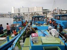 1日剣崎で釣れてイサキ13匹、最大28.5cmでなんとかなった