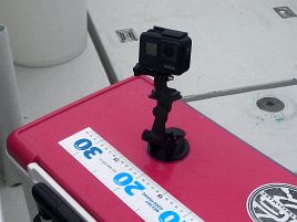 今週末はイサキで動画2弾。釣れるかより撮れるかで悶々