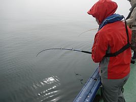 北海道の師匠杯で子供はアオゾイゲット。へたはお世話係