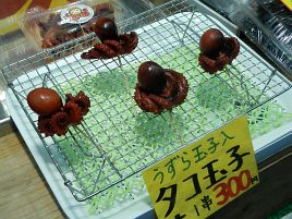 マダコがイイダコを食べちゃうから今年は…って本当かな？