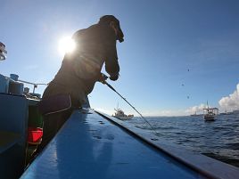 どうやったら釣れるねん!!　浅場タチウオ早々にギブアップ