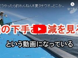 【動画】夏タチウオ…どこが間違ってるのか教えてほしいぞ