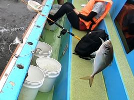 ゲストはサバだけ…八景沖でアジ入れ食いの午後アミ五目