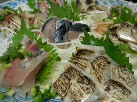 食べる事考えると五目釣り最高。八景沖豪華秋の三種盛り