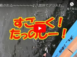 【動画】アミ五目はたっのし～癒される～そして…美味しい!!