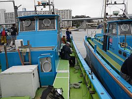 台風一過の午前アジは土砂降り、強風、ゴミだらけだったが