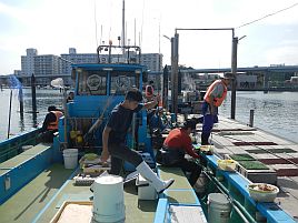 ドラグ滑って面白すぎ!! イナダ（ハマチ）10匹で大大大満足