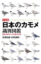 「日本のカモメ識別図鑑」発行記念。カモメ釣れて困る動画