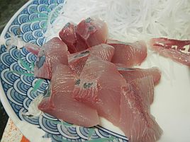 負け惜しみじゃないぞ！  クロダイのお鍋はムフフフなお味♪