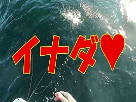 久里浜沖7時間耐久マダイ魚信なし地獄にもがき苦しんだ