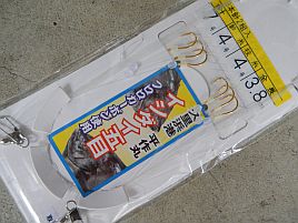 イナダだらけでイシダイどこ～？　シマ消え込みで3匹ゲット