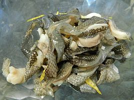 お刺身、皮のポン酢和え、お鍋＋〆はお蕎麦でイシダイ最高