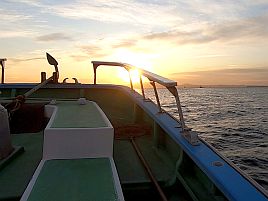 年末年始は旅行なので釣り納めは何を釣りに行こうかな？