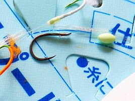 眉に唾少なめでOK。へた釣り印のカイワリ実績あり仕掛け