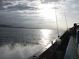 釣れども釣れども手乗りカサゴで…俺の心は木っ端微塵！