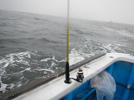 和彦丸キス・アジリレーで東京湾二大釣魚に再入門してきた