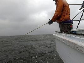 和彦丸キス・アジリレーで東京湾二大釣魚に再入門してきた