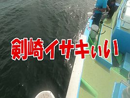 【動画】沖の瀬尺イサキにではなく剣崎の中イサキに歓喜す