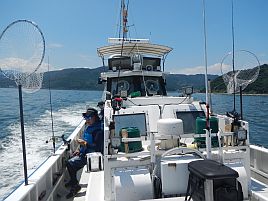 今週は宇佐美海の恵み五目。目標は根魚込みで十目超え