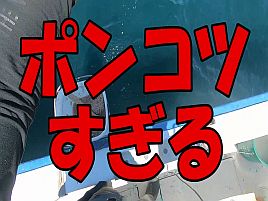 【動画】釣り歴10年なのにリールが外れてカイワリを逃がす