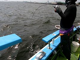 暑さ避けさくっと午前アジ作戦。サイズいろいろ39匹で成功