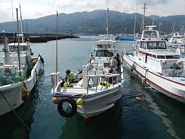 カンパチガチャはハズレ！　カイワリ2匹でなんとかなったぁ!!