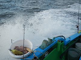 高級魚は運次第？　本日の釣魚居酒屋へたはアジ専門店