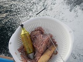 高級魚は運次第？　本日の釣魚居酒屋へたはアジ専門店