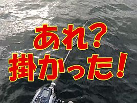 【動画】針掛かり成功集。タチウオが上手くなった気になるよ