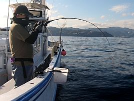 久しぶりの宇佐美沖はカイワリ9匹込みで五目15匹と満足♪