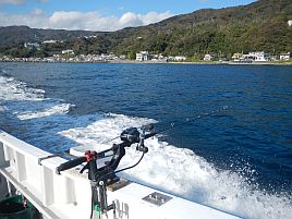 久しぶりの宇佐美沖はカイワリ9匹込みで五目15匹と満足♪