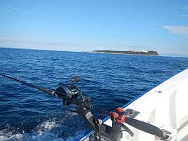 久しぶりの宇佐美沖はカイワリ9匹込みで五目15匹と満足♪